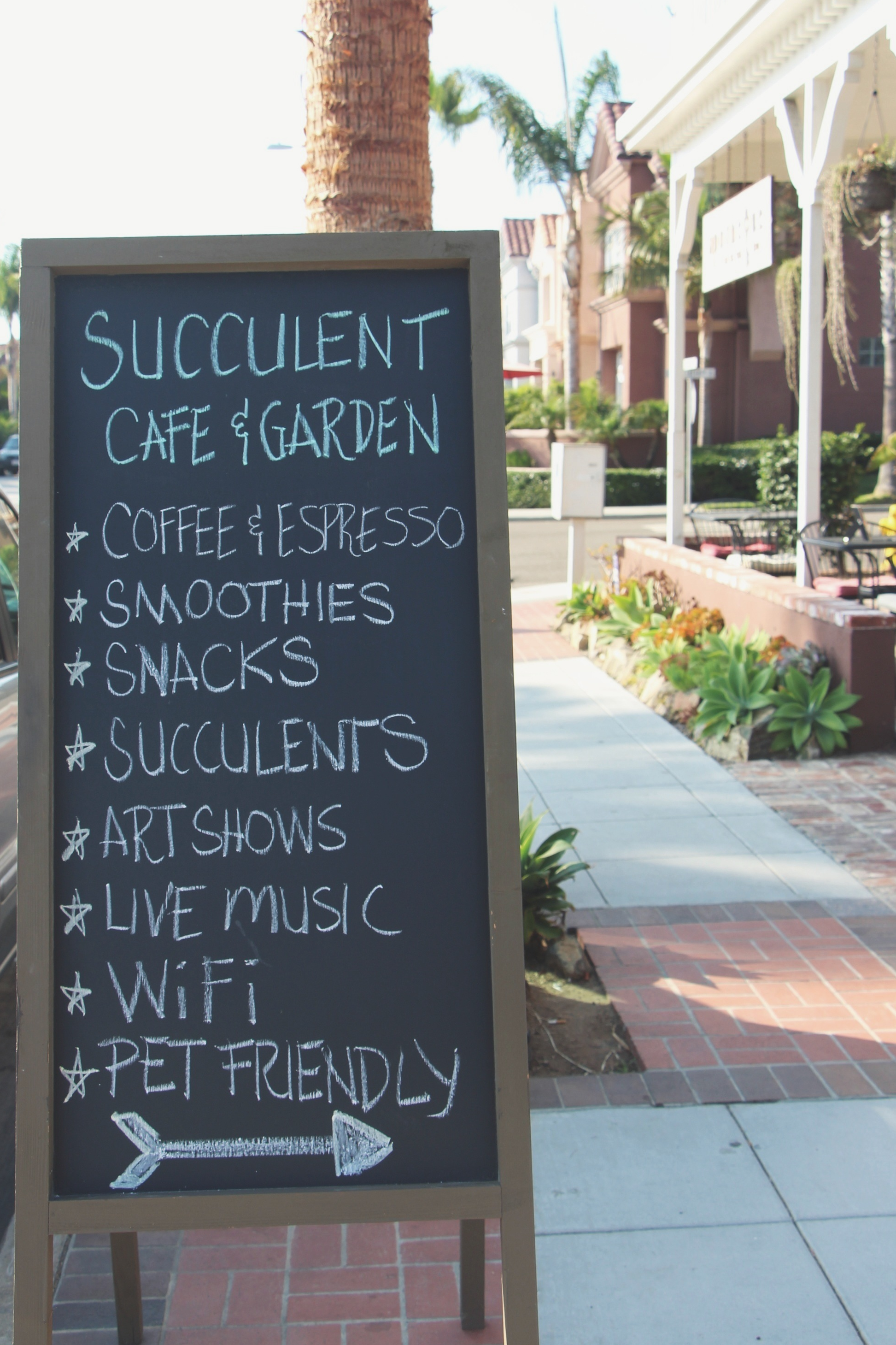 Succulent Cafe Oceanside via Needles + Leaves